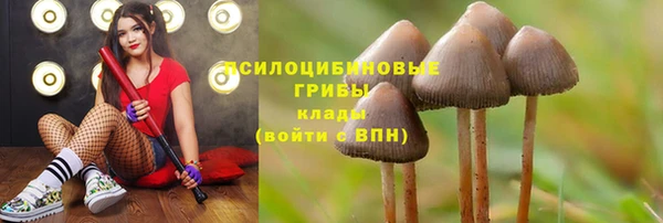 дмт Лиски