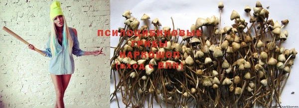 стаф Майский