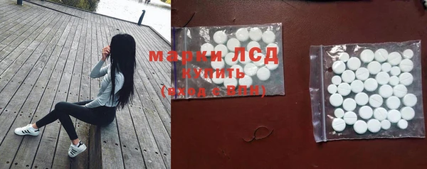 стаф Майский