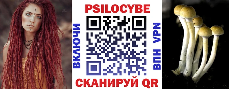 Псилоцибиновые грибы мухоморы дарнет шоп Шимановск